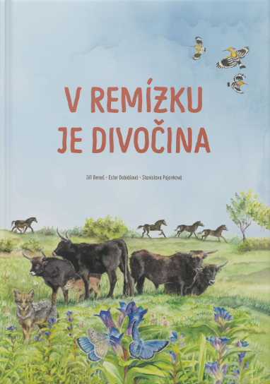 Snímek obrazovky 2025-11-29 133853