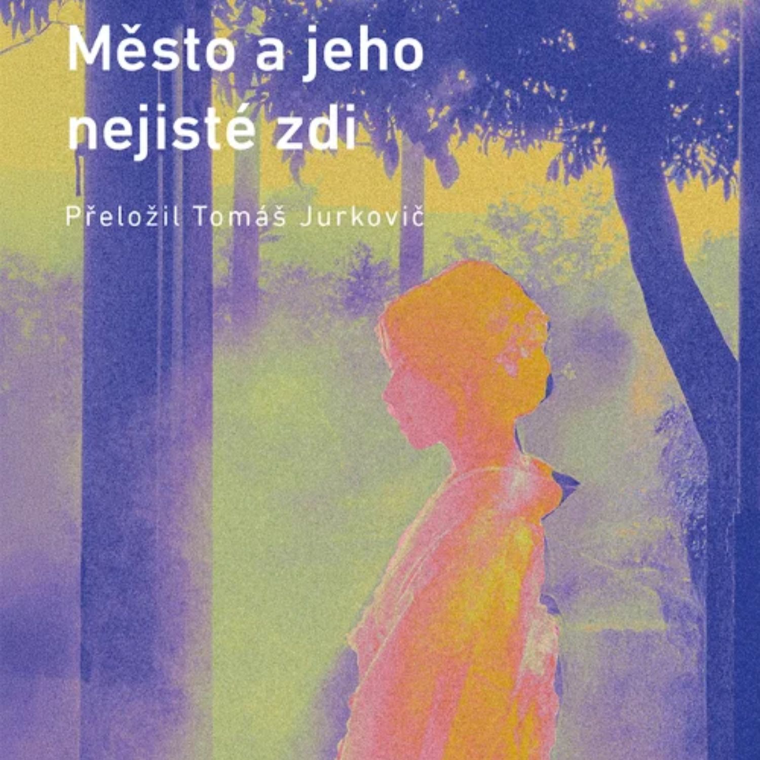 Nový Murakami – Podivuhodné Město a jeho nejisté zdi